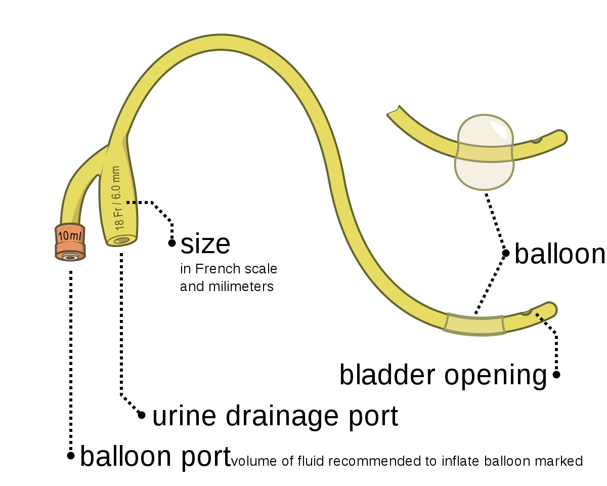 foley-catheter